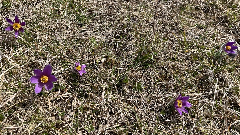 25-03-21 12-21-28 2484.jpeg